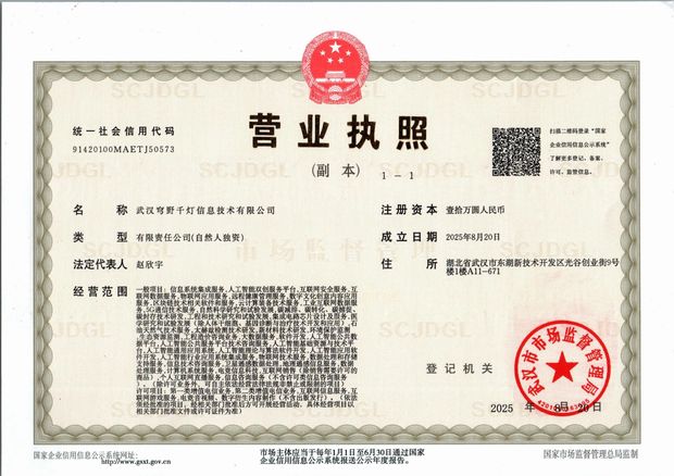 武汉穹野千灯信息技术有限公司营业执照（副本）